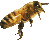 bzzz